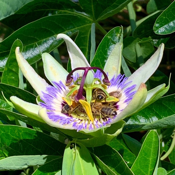 Meet your Posher, Kate - Picture 2 of 13